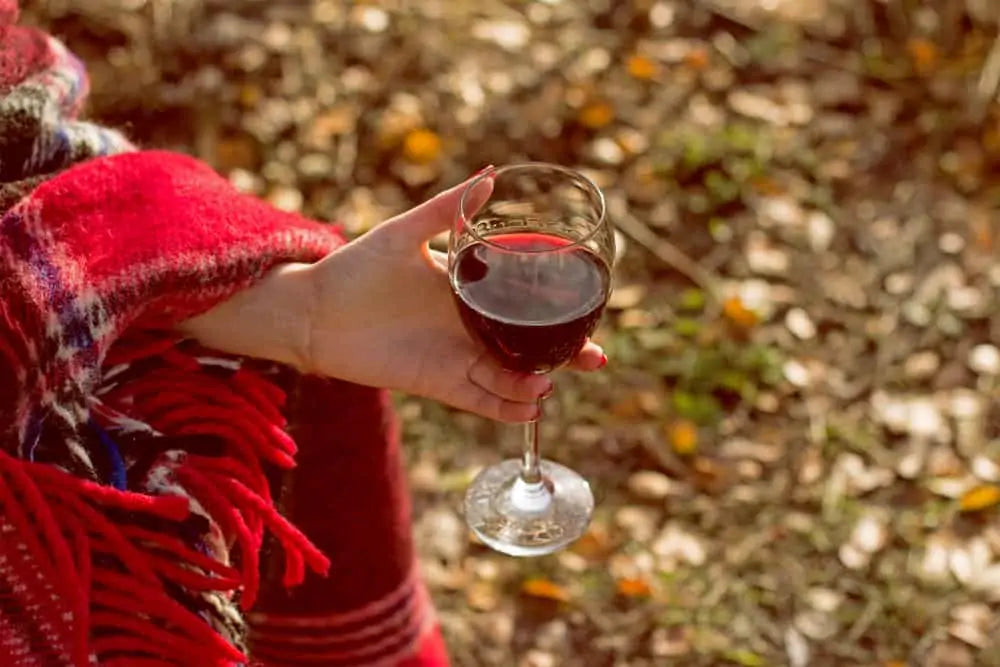 Autumn Wines: Our Fall Favourites
